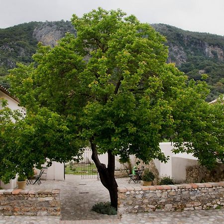 Casa Rural El Vihuelo El Bosque Zewnętrze zdjęcie