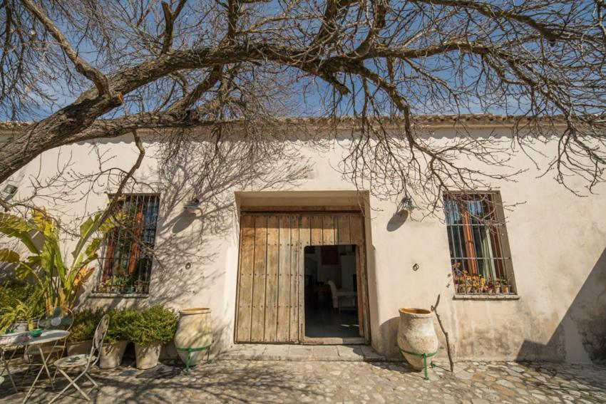 Casa Rural El Vihuelo El Bosque Zewnętrze zdjęcie