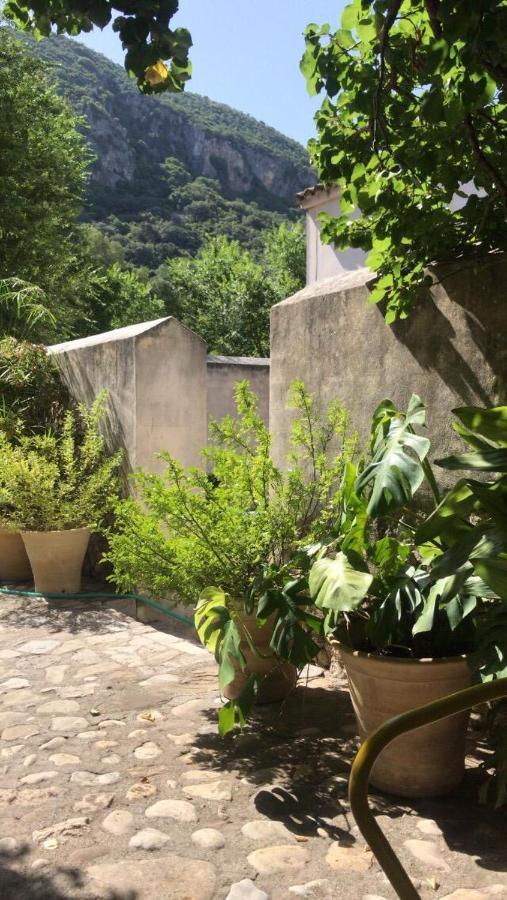 Casa Rural El Vihuelo El Bosque Zewnętrze zdjęcie
