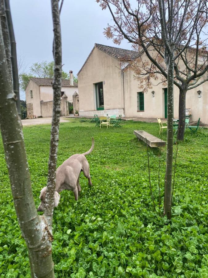 Casa Rural El Vihuelo El Bosque Zewnętrze zdjęcie