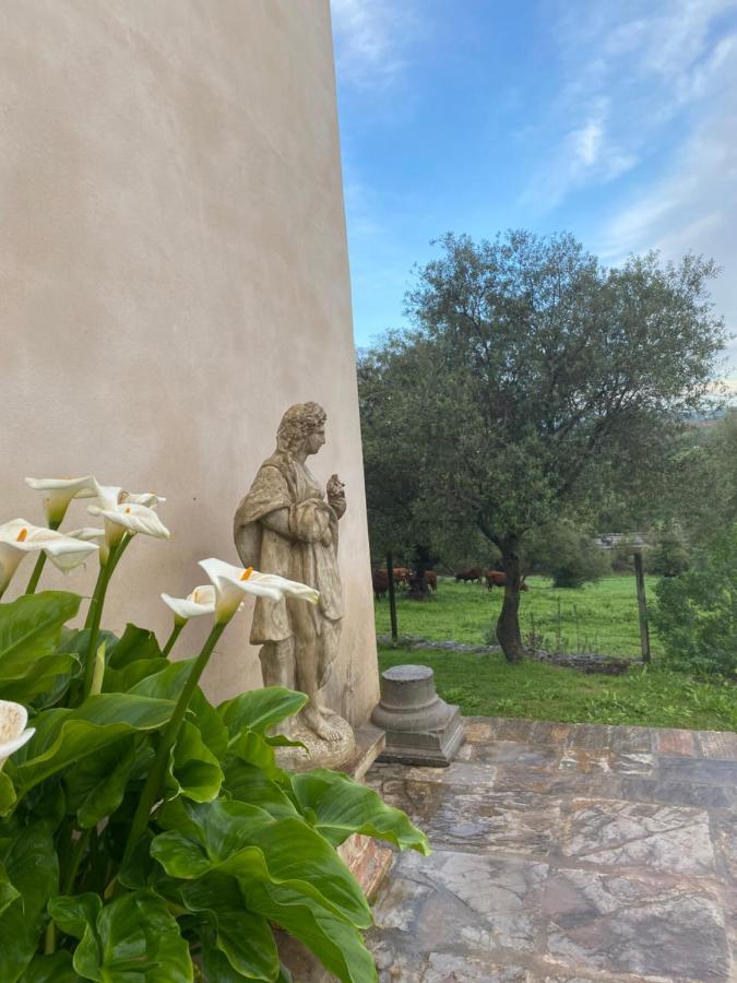 Casa Rural El Vihuelo El Bosque Zewnętrze zdjęcie