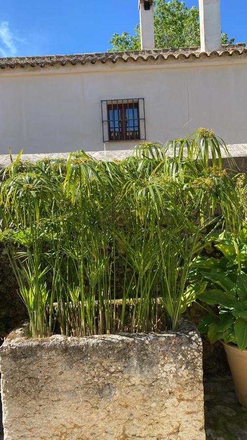 Casa Rural El Vihuelo El Bosque Zewnętrze zdjęcie