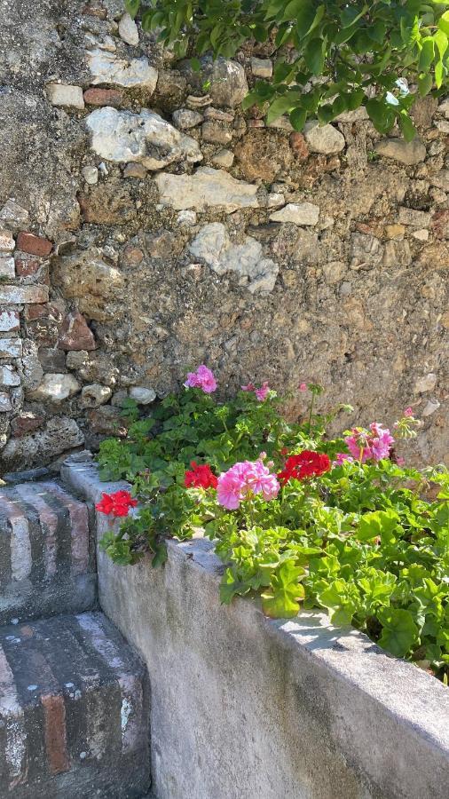 Casa Rural El Vihuelo El Bosque Zewnętrze zdjęcie