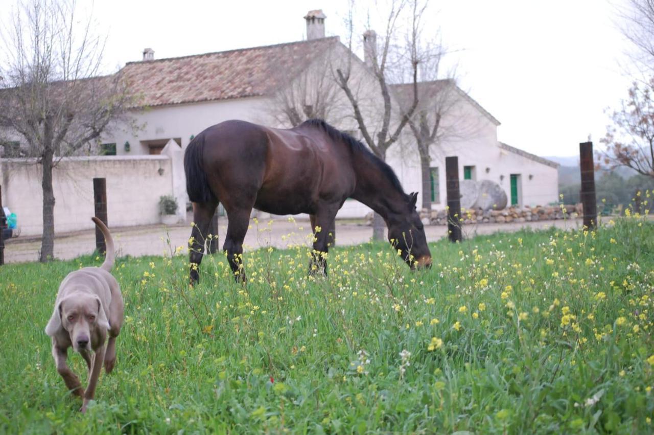 Hotel Casa Rural El Vihuelo El Bosque Zewnętrze zdjęcie