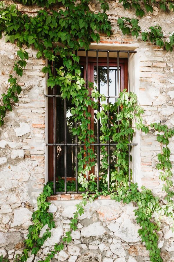Casa Rural El Vihuelo El Bosque Zewnętrze zdjęcie