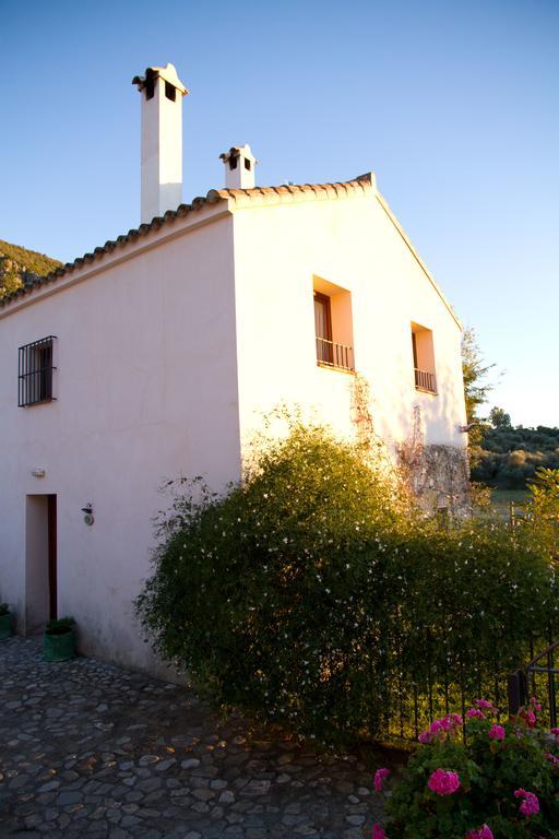 Casa Rural El Vihuelo El Bosque Zewnętrze zdjęcie
