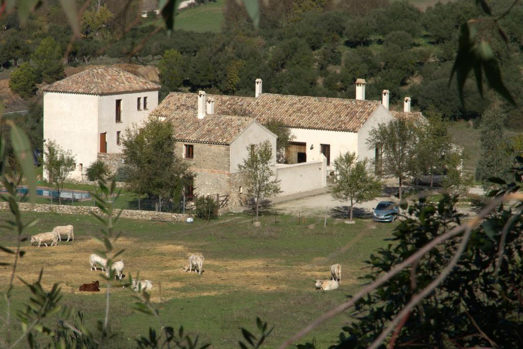 Casa Rural El Vihuelo El Bosque Zewnętrze zdjęcie